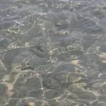 Сasa de vacaciones Zefiro *